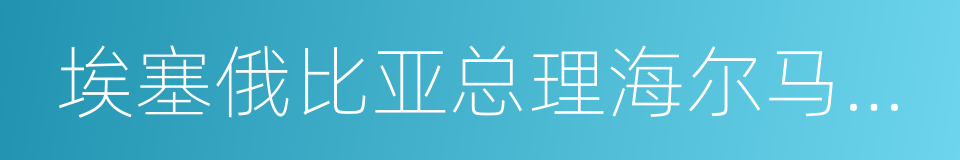 埃塞俄比亚总理海尔马里亚姆的同义词