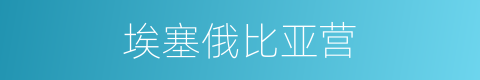 埃塞俄比亚营的同义词