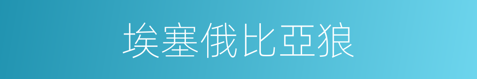 埃塞俄比亞狼的同義詞