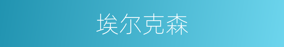 埃尔克森的同义词