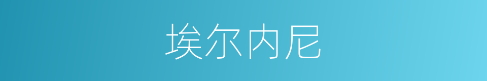 埃尔内尼的同义词