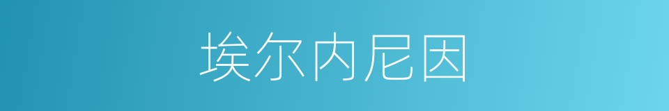 埃尔内尼因的同义词