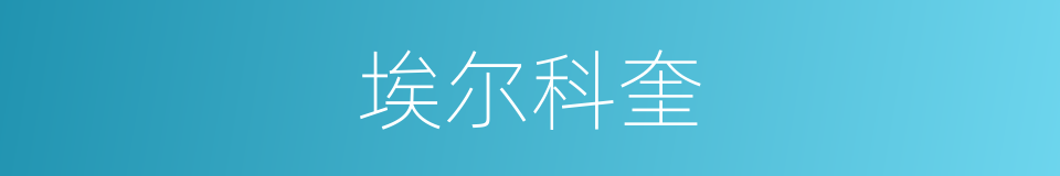 埃尔科奎的同义词
