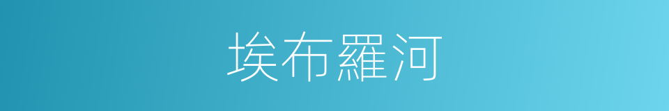 埃布羅河的同義詞