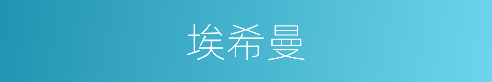 埃希曼的同义词