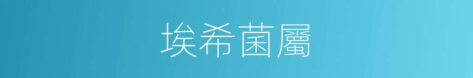 埃希菌屬的同義詞