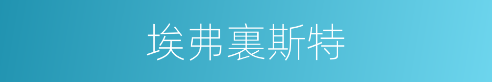 埃弗裏斯特的同義詞