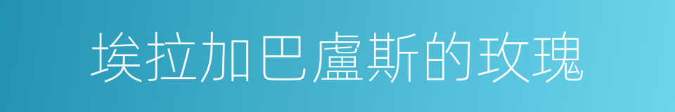 埃拉加巴盧斯的玫瑰的同義詞