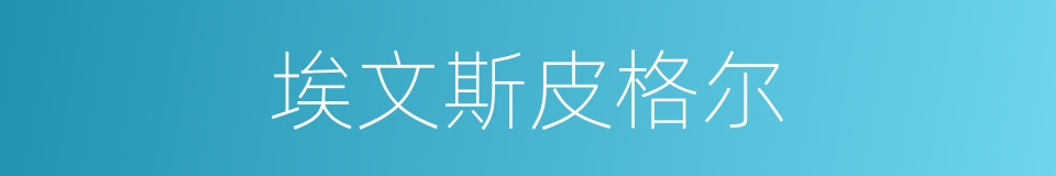 埃文斯皮格尔的同义词