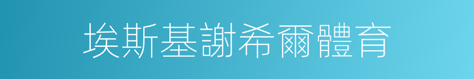 埃斯基謝希爾體育的同義詞