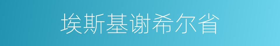 埃斯基谢希尔省的同义词