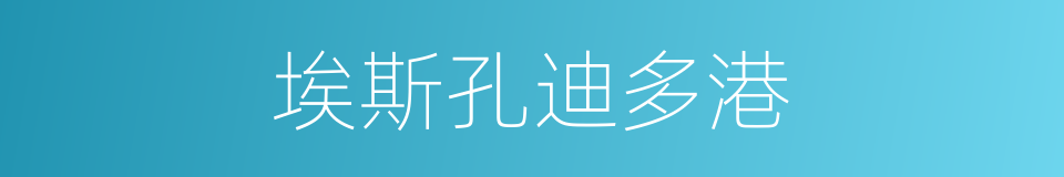 埃斯孔迪多港的同义词
