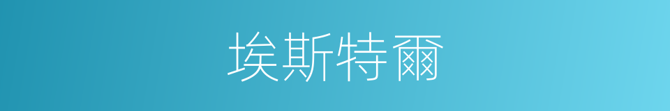 埃斯特爾的同義詞