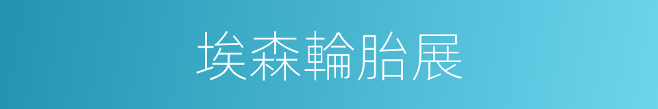 埃森輪胎展的同義詞