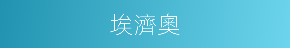 埃濟奧的同義詞