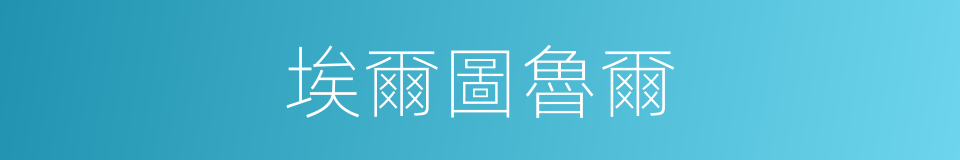 埃爾圖魯爾的同義詞