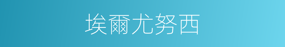 埃爾尤努西的同義詞