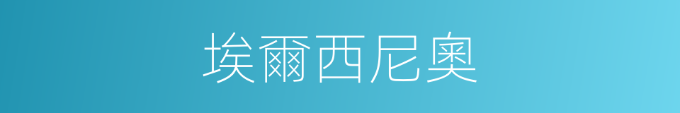 埃爾西尼奧的同義詞