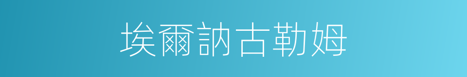 埃爾訥古勒姆的同義詞