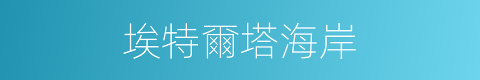 埃特爾塔海岸的同義詞