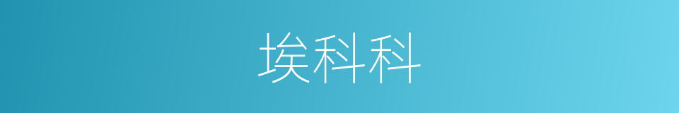 埃科科的同义词