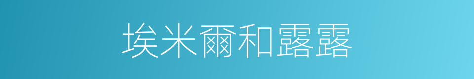 埃米爾和露露的同義詞