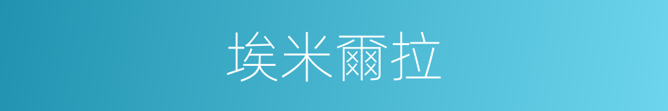 埃米爾拉的同義詞