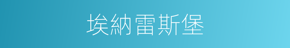 埃納雷斯堡的同義詞