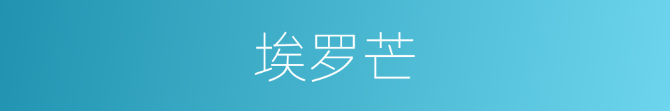 埃罗芒的同义词