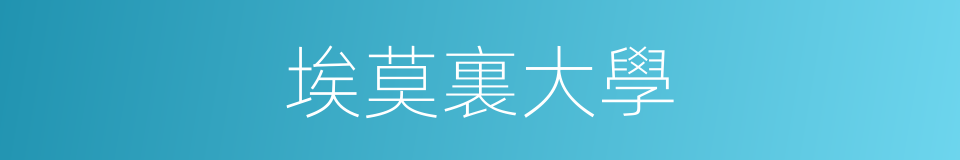 埃莫裏大學的同義詞