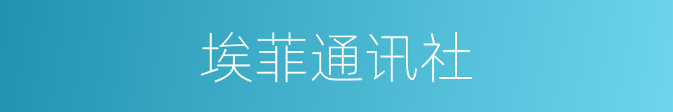 埃菲通讯社的同义词