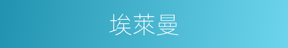 埃萊曼的同義詞
