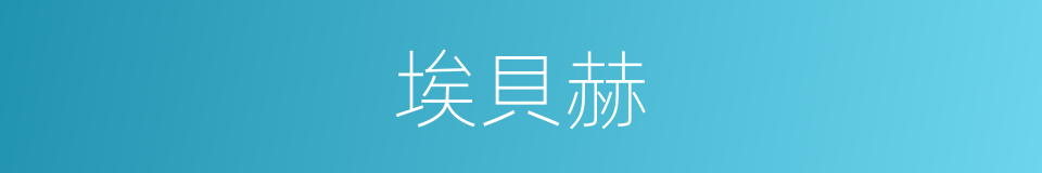 埃貝赫的同義詞