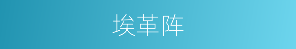 埃革阵的同义词