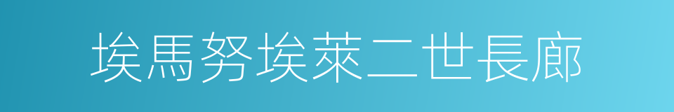 埃馬努埃萊二世長廊的同義詞