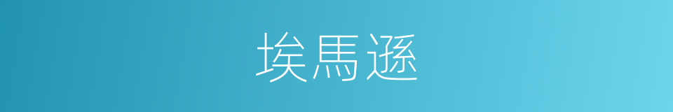 埃馬遜的同義詞