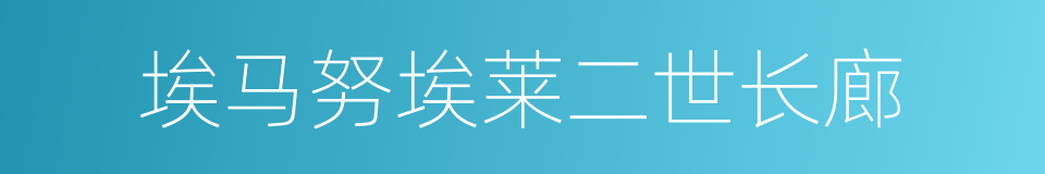 埃马努埃莱二世长廊的同义词