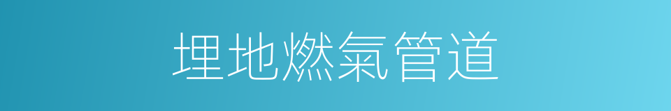 埋地燃氣管道的同義詞