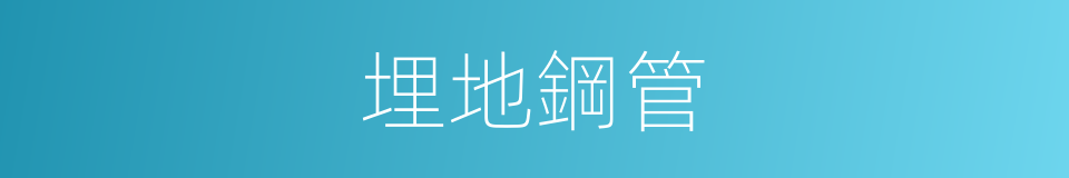 埋地鋼管的同義詞