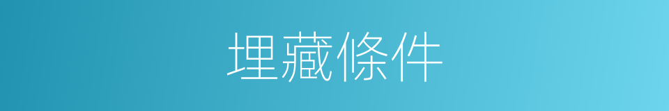 埋藏條件的同義詞