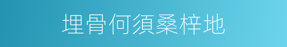 埋骨何須桑梓地的同義詞