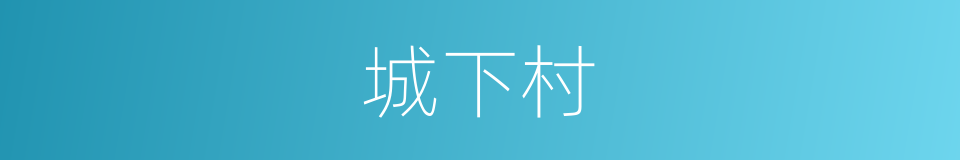 城下村的同义词