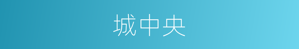 城中央的同义词