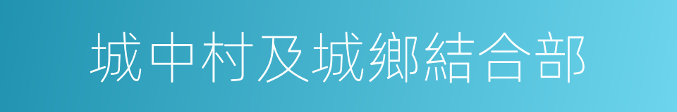 城中村及城鄉結合部的同義詞