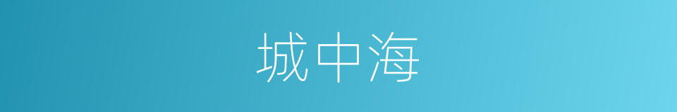城中海的同义词