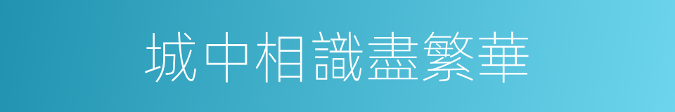 城中相識盡繁華的同義詞