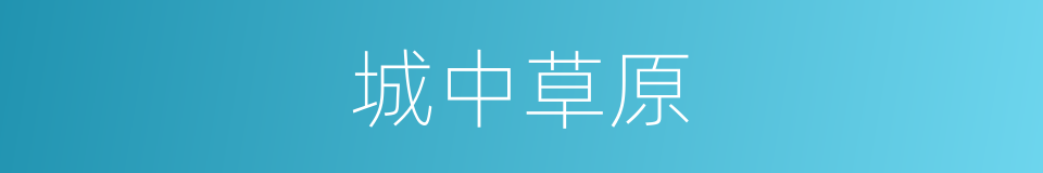 城中草原的同义词