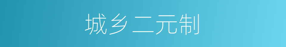 城乡二元制的同义词