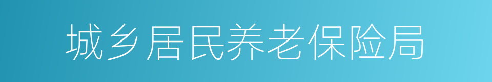 城乡居民养老保险局的同义词