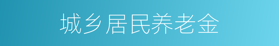 城乡居民养老金的同义词